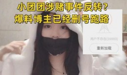 小团团被爆料什么视频,揭秘背后真相